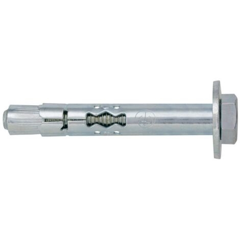 Tassello Metallo con Vite TE 8.8 10X80 Vite M8